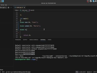 #38 Constructors & Destructions