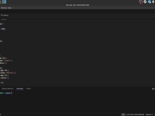 #38 Constructors & Destructions