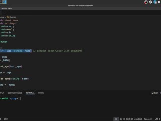 #38 Constructors & Destructions