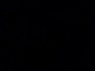 LA TELA BAGNATA DELLA VEDOVA NERA