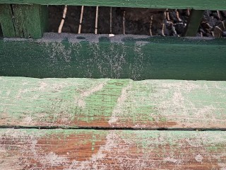 Up Dress NO PANTIES in Public# Risky PUBLIC PEE and Pussy Flashing on the Beach