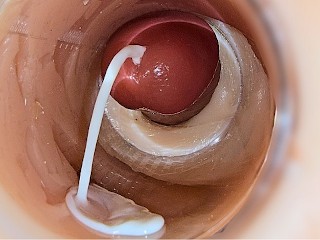Camera inside deep pussy captures huge ejaculation of sperm