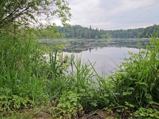 It's NERDY FAERY TIME!