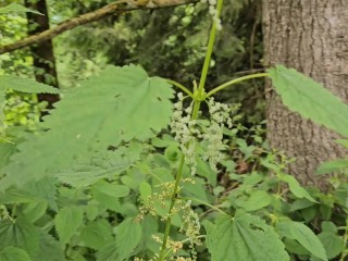 It's NERDY FAERY TIME!