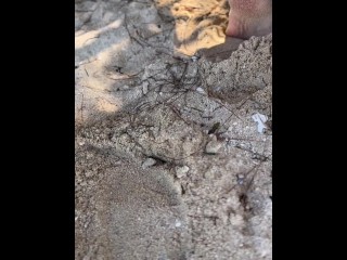 Beautiful blonde posing in a sand wind