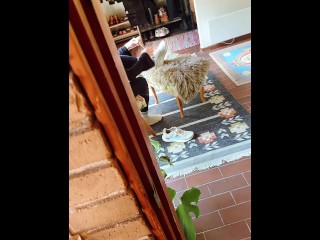 Hot free use mom gets a cock shoved in her mouth as she is leaving for the gym