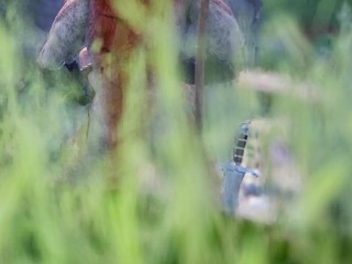 Threesome with a Lizardman with two dicks, Warrior Princes and Elf have double fuck, anal and facial