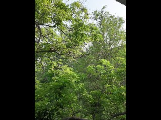 Extreme cumshot on the street I think someone saw us