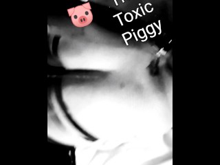 Daddy breeds his  pregnant Piggy 🐽