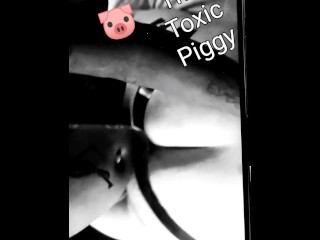 Daddy breeds his  pregnant Piggy 🐽