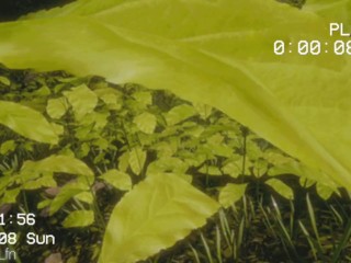 SCP 1471 Pierces Lara Croft's Asshole And Destroys Her lovely Throat