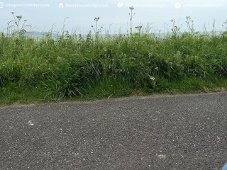 Started on a Bench, Ended at the Pier - No Regrets - Super risky public sloppy Handjob