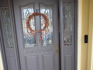 Sexy new neighbor bounces her BIG GORGEOUS ASS on my cock - Siri Dahl