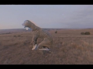 Pussy Costs Money But The Dick Is Free (music video)