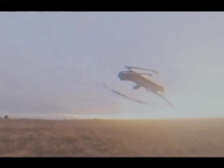 Pussy Costs Money But The Dick Is Free (music video)