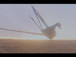 Pussy Costs Money But The Dick Is Free (music video)