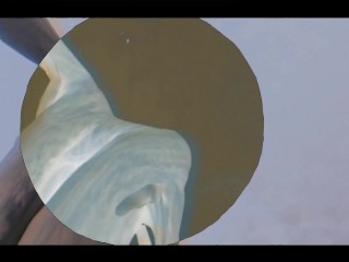 Pussy Costs Money But The Dick Is Free (music video)