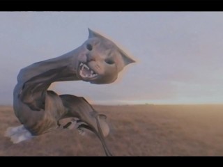 Pussy Costs Money But The Dick Is Free (music video)