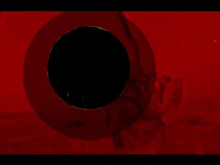 Pussy Costs Money But The Dick Is Free (music video)