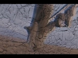 Pussy Costs Money But The Dick Is Free (music video)