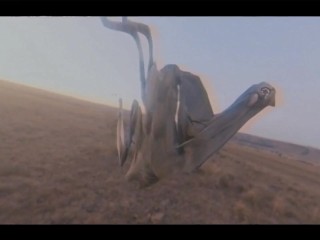 Pussy Costs Money But The Dick Is Free (music video)