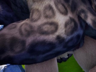 Orgy with Furry Werewolf, Tiger and Lion fucks elf and succubus and Tiger girl