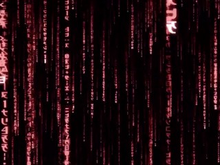 O.B.G.pYrat SI FA UNA SEGA ALLA FACCIA VOSTRA!!!