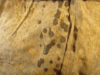 FUCVph3 Jenny Bla1r "Cutey Part 2" just the cumshot