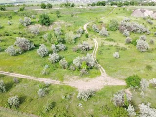 Hot NATURAL chick tannimg totaly NAKED in nature #  VOYEUR from drone