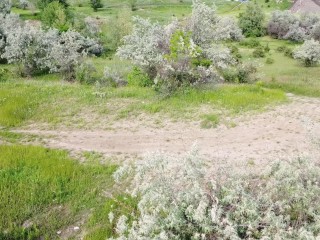 Hot NATURAL chick tannimg totaly NAKED in nature #  VOYEUR from drone