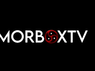 Trans girl receives Atomic Wedgie, CBT and Hard Spank (Short Version)