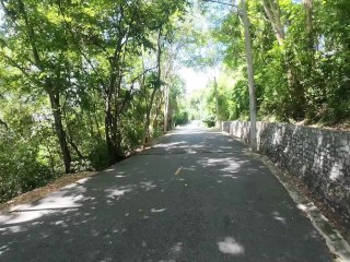 Walking in the Pattaya Jungle! Thailand