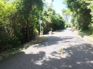 Walking in the Pattaya Jungle! Thailand