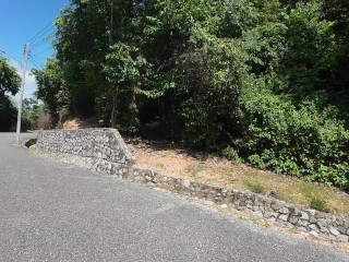 Walking in the Pattaya Jungle! Thailand