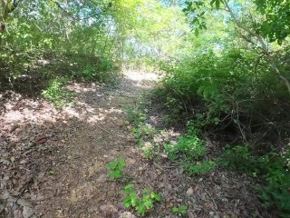 Walking in the Pattaya Jungle! Thailand
