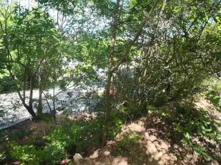 Walking in the Pattaya Jungle! Thailand