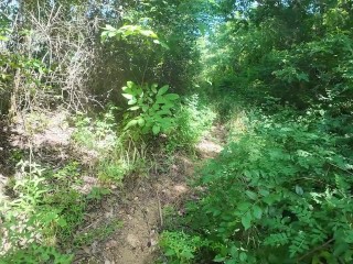 Walking in the Pattaya Jungle! Thailand