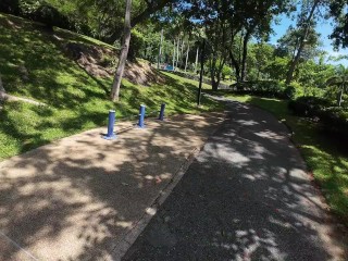 Walking in the Pattaya Jungle! Thailand