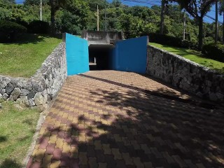 Walking in the Pattaya Jungle! Thailand