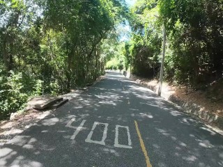 Walking in the Pattaya Jungle! Thailand