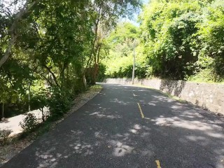 Walking in the Pattaya Jungle! Thailand