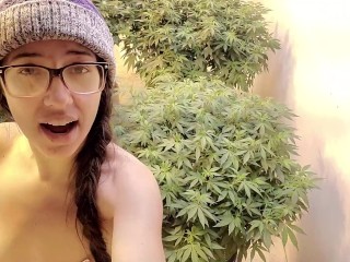 Nude  Gardening with Freak77Show Grow Tips Episode 2 Lollipopping