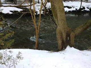 Girl Wets Her Panties out on the Town