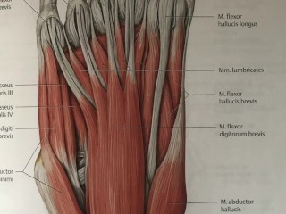 How To Perform Bastonade?