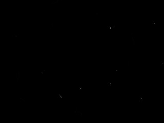 TI OBBLIGO AD ANNUSARE E LECCARE LE PIANTE DEI MIEI DIVINI PIEDI MENTRE...