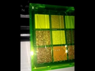 Jasmyne Eyeshadow Palette - Neon | (B)