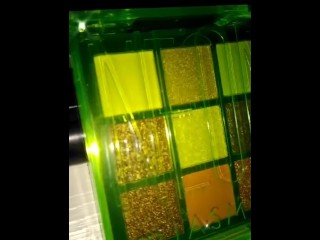 Jasmyne Eyeshadow Palette - Neon | (B)