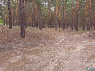 PLEEEEEEASE CUM IN ME