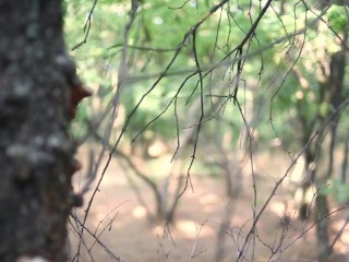 CAUGHT IN THE WOODS - Masturbating Girl Caught by a Stranger and Creampied