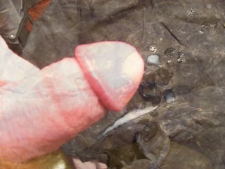 B.B.B. F.U.C.V. 01: Jennifer Stone "Totally Missed Pop 4a.m."AVI no slomo